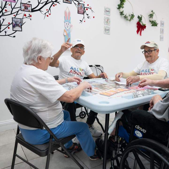 Elderly Recreational Activities Miami Gardens